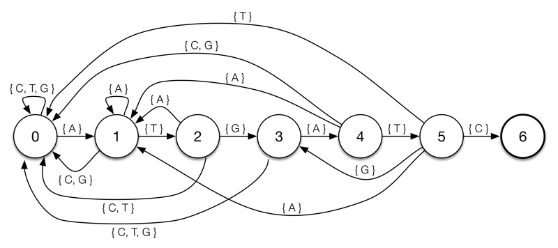 dfa representing nucleotide pattern